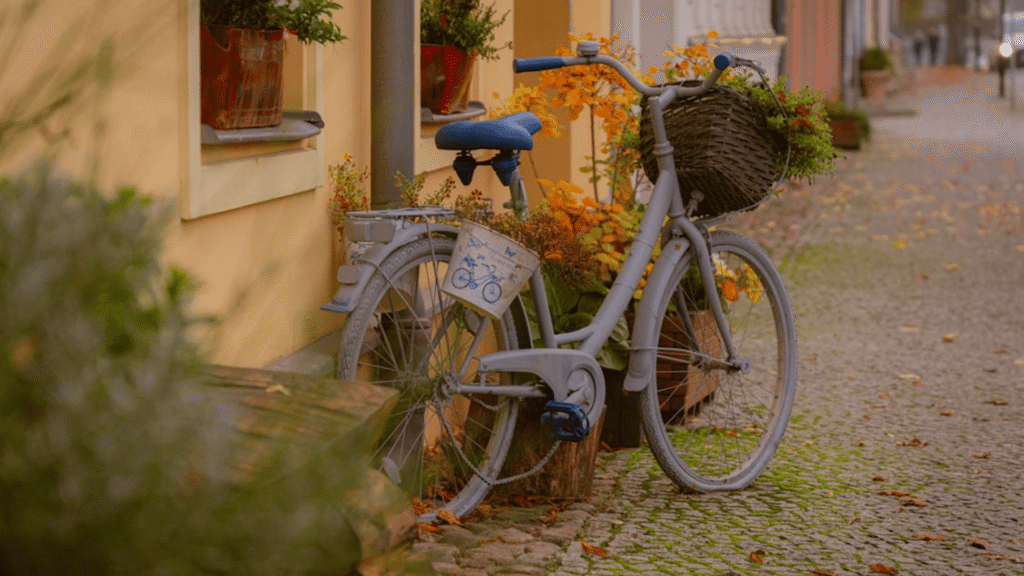 Bicicleta com flores numa rua tranquila de aldeia com casas tradicionais