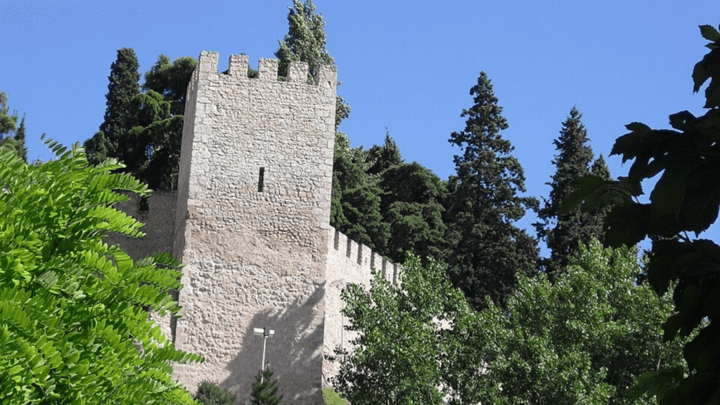 Castelo de Torres Novas rodeado por árvores e vegetação